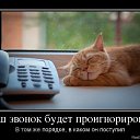 ���� ����, ������, 43 ���� - ��������� 10 ������ 2013 � ������ ���� ����������