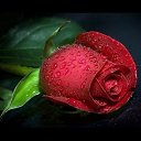 ���� **Markiza*c*250*, ����� - ��������� 6 ������ 2013 � ������ ���� �� ������ ���Ż