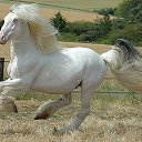 ���� ������, �������������� - ��������� 16 ������ 2013 � ������ ���� ����������