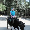 ���� Natali, ����, 67 ��� - ��������� 8 �������� 2013 � ������ ������ � �����