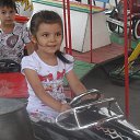 ���� ������, ����������, 40 ��� - ��������� 7 �������� 2013 � ������ ���� ����������