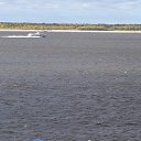 ���� ������, �����, 57 ��� - ��������� 14 �������� 2013 � ������ ���� ����������