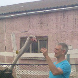 ��������� � ����������, ������� �� ������, ������, 55 ���