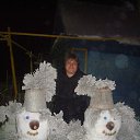 ���� �����, ��������, 51 ��� - ��������� 2 ������ 2014 � ������ ���� ����������