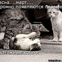  ,  -  3  2014    