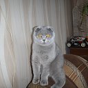 ���� ������, ����� - ��������� 14 ����� 2014 � ������ ������!�