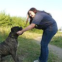 ���� ���������, �����������, 31 ��� - ��������� 4 ������ 2013 � ������ ���� ����������