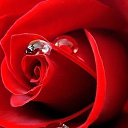 ���� Asssssssssollllllll, ����������� - ��������� 25 ������ 2014 � ������ ���� ����������