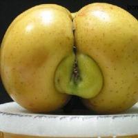 ,   )
