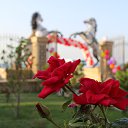 ���� Zoxrab, ����, 51 ��� - ��������� 10 ������� 2013