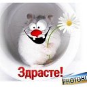 ���� ����, ������ - ��������� 5 ����� 2014 � ������ ������ ��������
