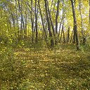 ���� �������, �����������, 32 ���� - ��������� 31 ������� 2013 � ������ ���� ����������