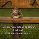 ����� ������� �������� ��� �� ����, ��� � ���������... �� ��������, ��������� ����� ���� ���� �� ������... �� ��� ����, ���� � �����... � ��� ����, ���� ������� �� ������!
 �� ������� ���� ����������