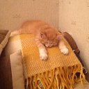 ��� ������)) �� ������� ���� ����������