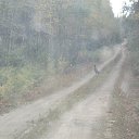���� �������, ������������, 60 ��� - ��������� 11 �������� 2013 � ������ ��������