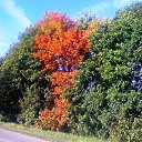 ���� Igor Malaev, ���������, 62 ���� - ��������� 18 ������� 2013 � ������ ���� ����������