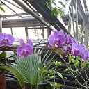 ���� ����, ����������� - ��������� 20 ������ 2014 � ������ �����������