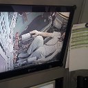 ���� �����, ������-��-����, 46 ��� - ��������� 19 ������� 2013 � ������ ���� ����������