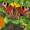 �������� ������... �� ������� ������������� �����.�