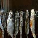 ���� �������, ����� - ��������� 28 ������� 2014 � ������ ������ ��������