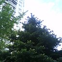 ���� ����, ����, 55 ��� - ��������� 2 �������� 2013 � ������ ���� ����������
