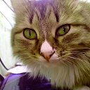 ���� �����, ������� - ��������� 13 ����� 2014 � ������ ������ ��������