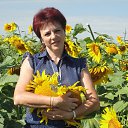 ���� �������, ������ ��������, 64 ���� - ��������� 7 ������� 2013 � ������ ���� ����������