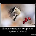 ���� ������, �����, 62 ���� - ��������� 20 ������ 2013 � ������ ���� ����������