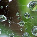 ���� Natal��, ������ ��� - ��������� 15 ������� 2014 � ������ ������ ��������