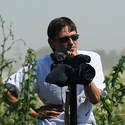 ���� Alex, ������, 60 ��� - ��������� 11 ������� 2013