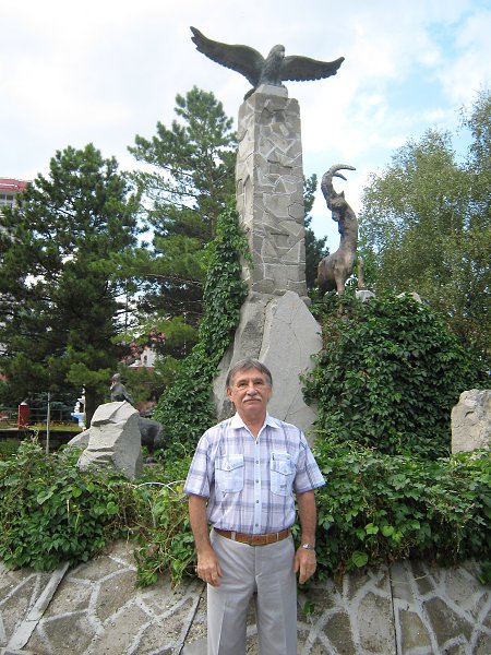  :  , 85 , 