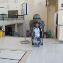 ���� ������, ������, 51 ��� - ��������� 28 ������ 2014 � ������ ���� ����������