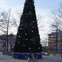 ���� Diana, ����������� - ��������� 13 ������� 2014 � ������ ���� ����������