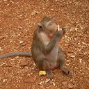 ���� ������, ������, 58 ��� - ��������� 26 ������� 2013 � ������ ���� ����������