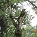 ���� ����, ����������� - ��������� 8 ������� 2013 � ������ ��� �����