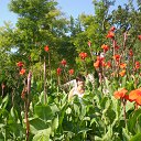 ��������� �� ������� ����� ��� ������������