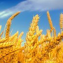 ���� Galinka, �������, 48 ��� - ��������� 10 ����� 2014 � ������ ������ ��������