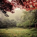 ���� �e� �, ������, 55 ��� - ��������� 23 ������ 2014 � ������ ���� ����������