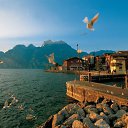 ���� �������, ����, 50 ��� - ��������� 8 ������� 2014 � ������ �44-1�