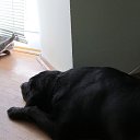 ���� ���������, ������, 54 ���� - ��������� 8 ������� 2013 � ������ ���� ����������