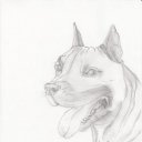 ���� ������, �������, 31 ��� - ��������� 6 ����� 2014 � ������ ���� ����������