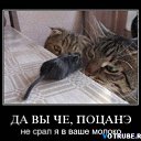 ���� ����, ������, 54 ���� - ��������� 19 ������� 2013 � ������ �������