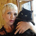 ���� �������, ����, 68 ��� - ��������� 15 ������ 2014 � ������ ���� ����������