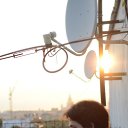 ���� ����, ������, 36 ��� - ��������� 23 ������� 2013 � ������ ���� ����������