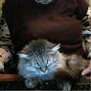 ��! ��� �� ������ ���� ���������... �� ������� �� � ��� ������