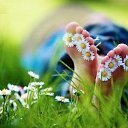 ���� ~ Reverans ~, ����������� - ��������� 6 ������ 2013 � ������ ���� ����������