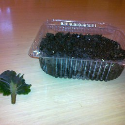 ��������, �����������, 58 ���