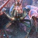  , , 56  -  7  2013   ջ