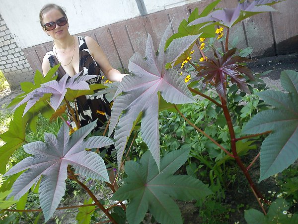:   . - irina, 51 , 