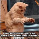 ���� ������ ��������, ������ - ��������� 1 ������ 2014 � ������ ���������